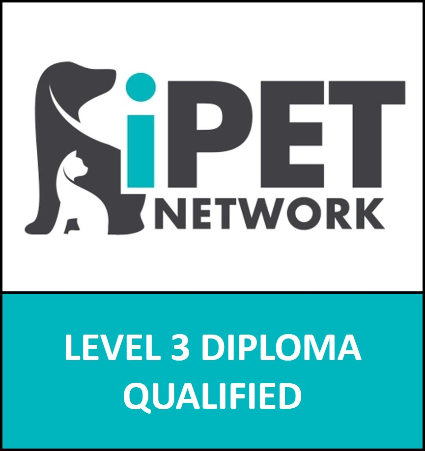 IPet certificate